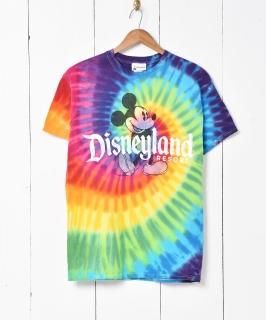 Disney ץȥT Υͥå 岰졼ץե롼 ࡼ