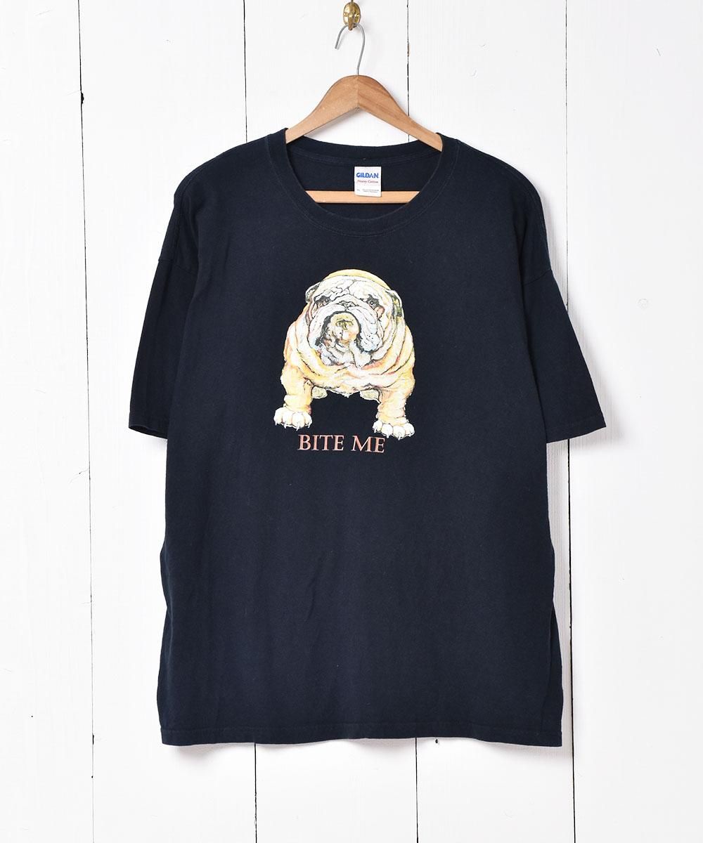  ˥ޥ ץT  ͥå  岰졼ץե롼 ࡼ