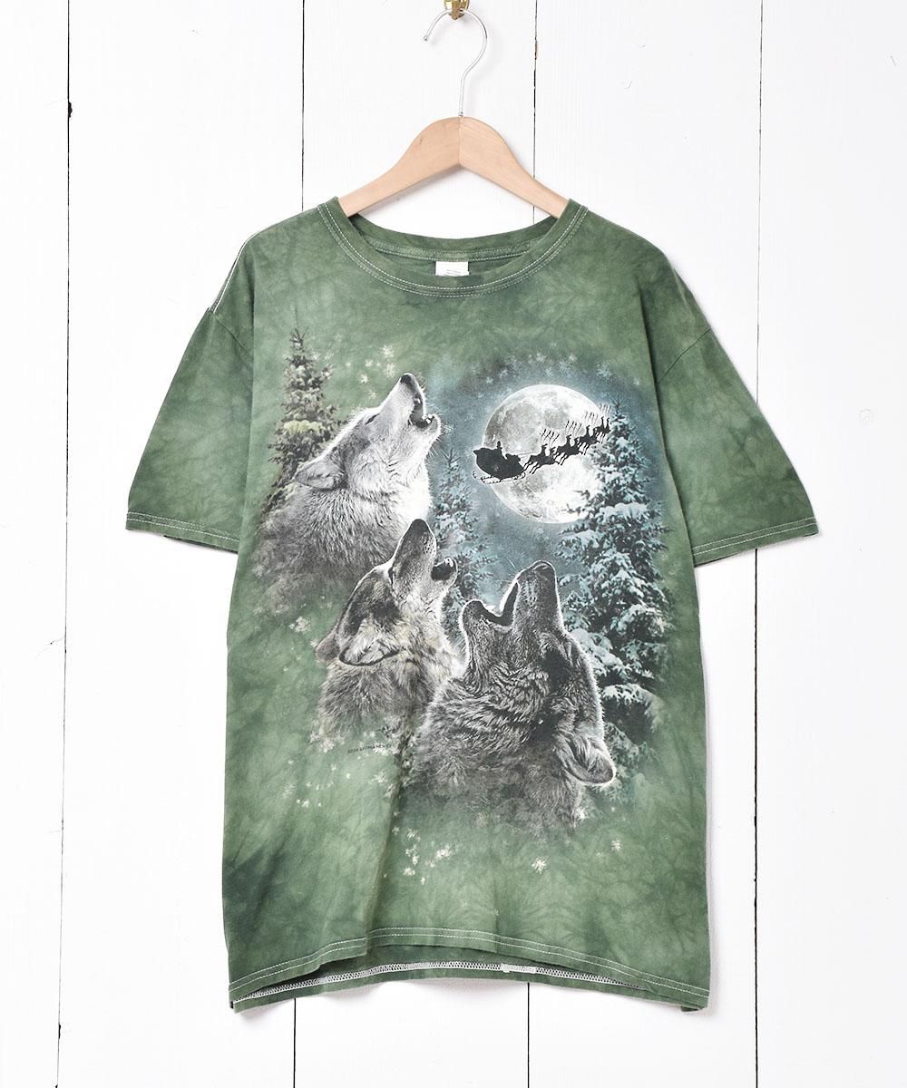  ߥץT  ͥå  岰졼ץե롼 ࡼ