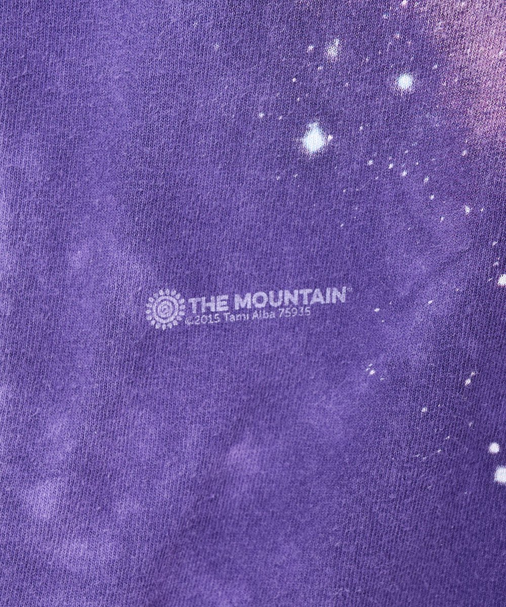 THE MOUNTAIN  ߥץTĥͥ