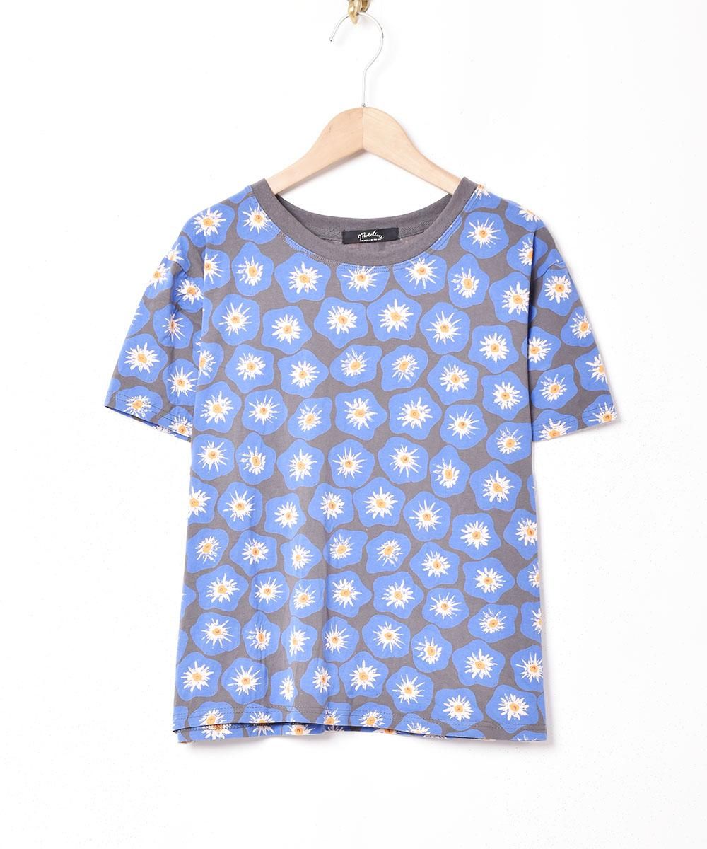  2ŸۡMeridianײ ץT ֥롼  ͥå  岰졼ץե롼 ࡼ