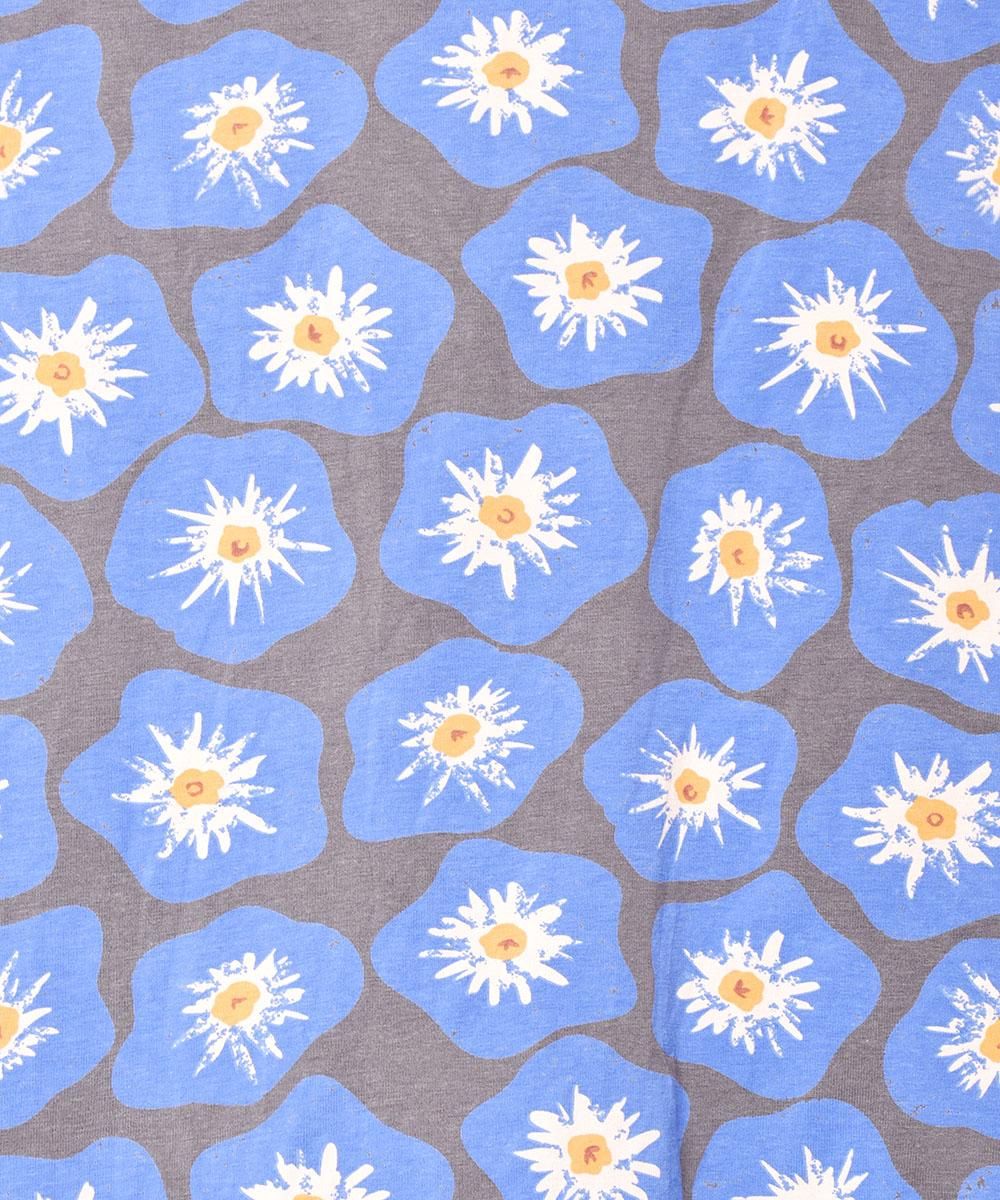 2ŸۡMeridianײ ץT ֥롼ͥ