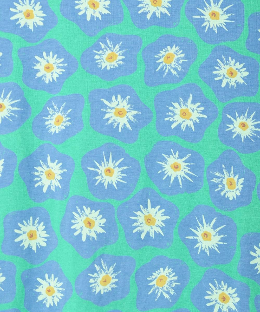 2ŸۡMeridianײ ץT ꡼󥵥ͥ