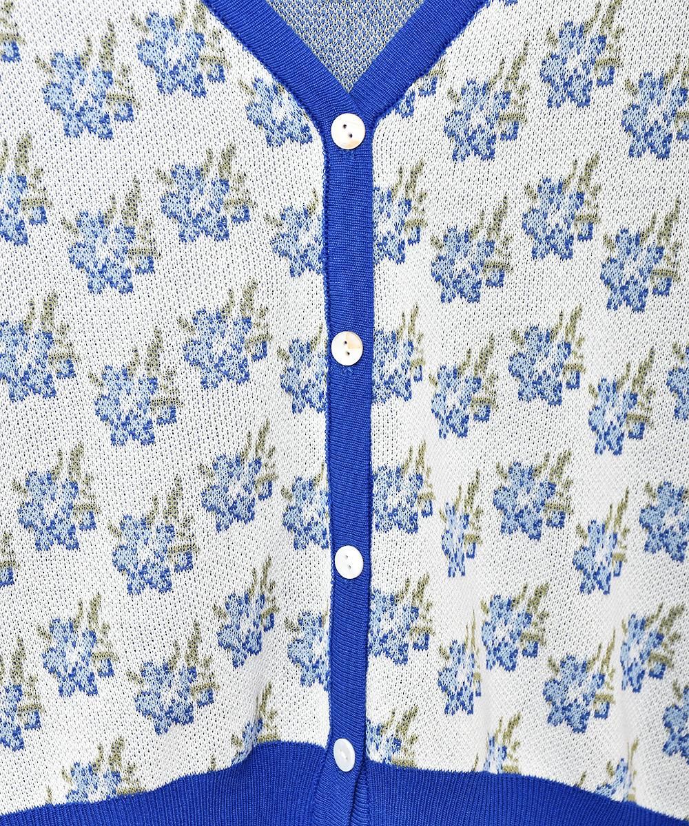 2ŸۡMeridianײ ѥԥ Ⱦµǥ ֥롼ͥ