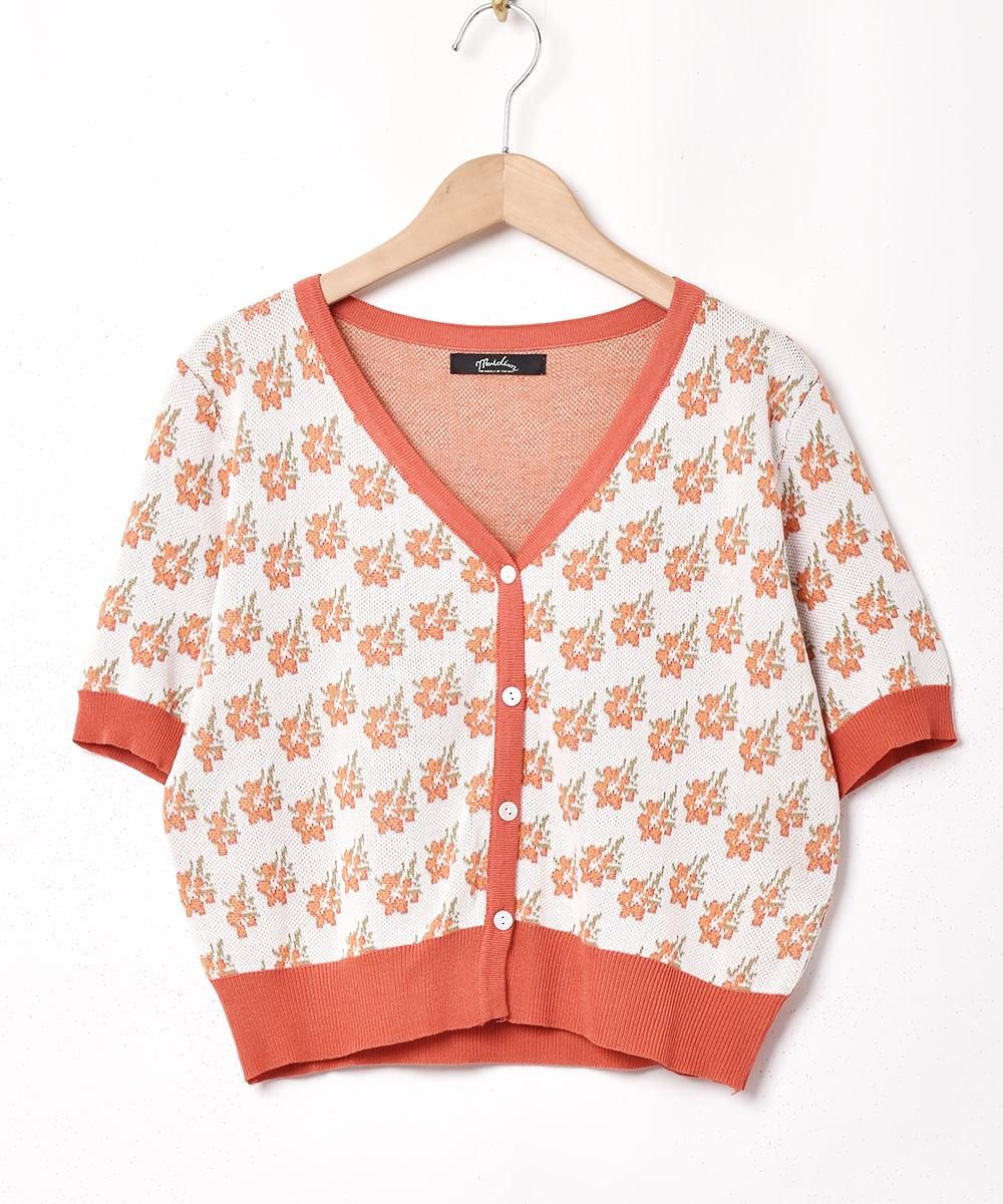 2ŸۡMeridianײ ѥԥ Ⱦµǥ ֥롼ͥ