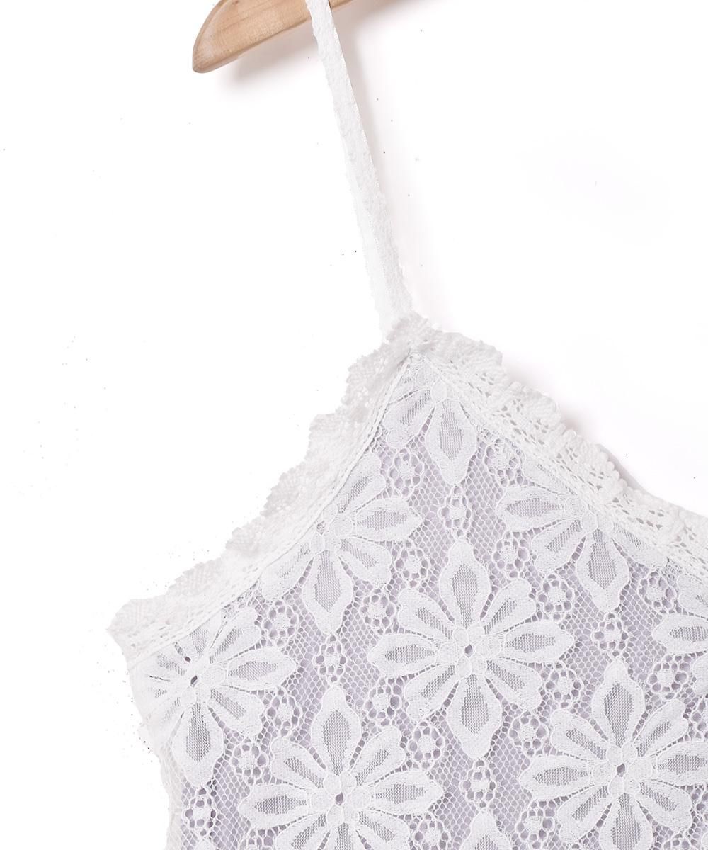 2ŸۡMeridianץեȥܥ 졼ߥ ѡץ륵ͥ