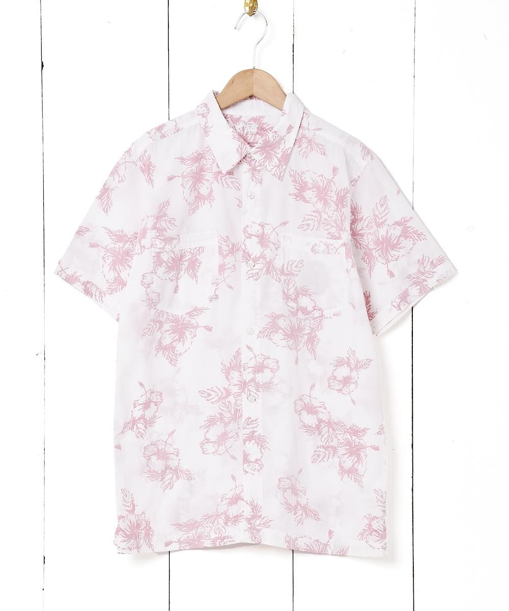  Ⱦµ   ͥå  岰졼ץե롼 ࡼ