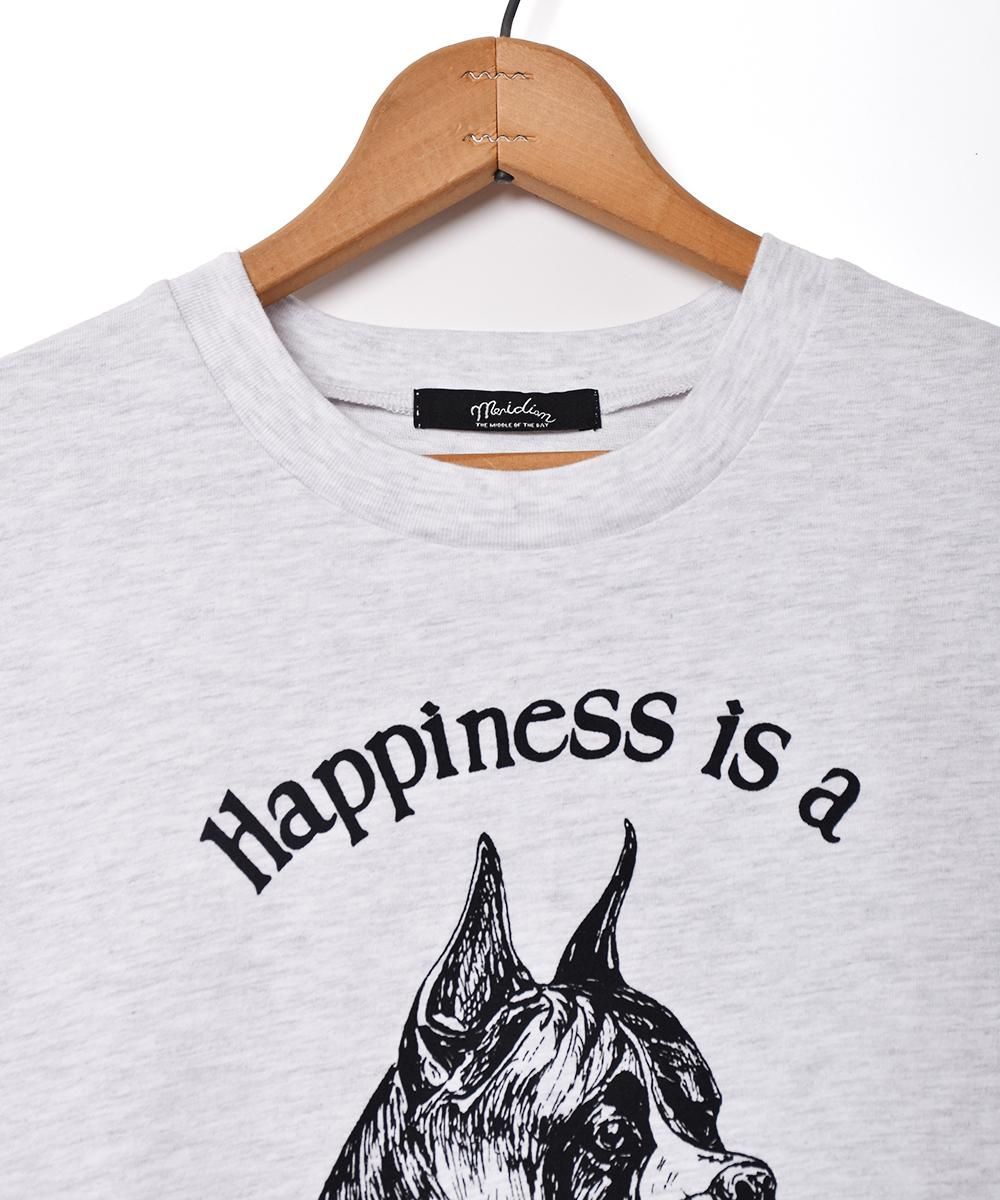 3ŸۡMeridianץɥå ץT 졼ͥ