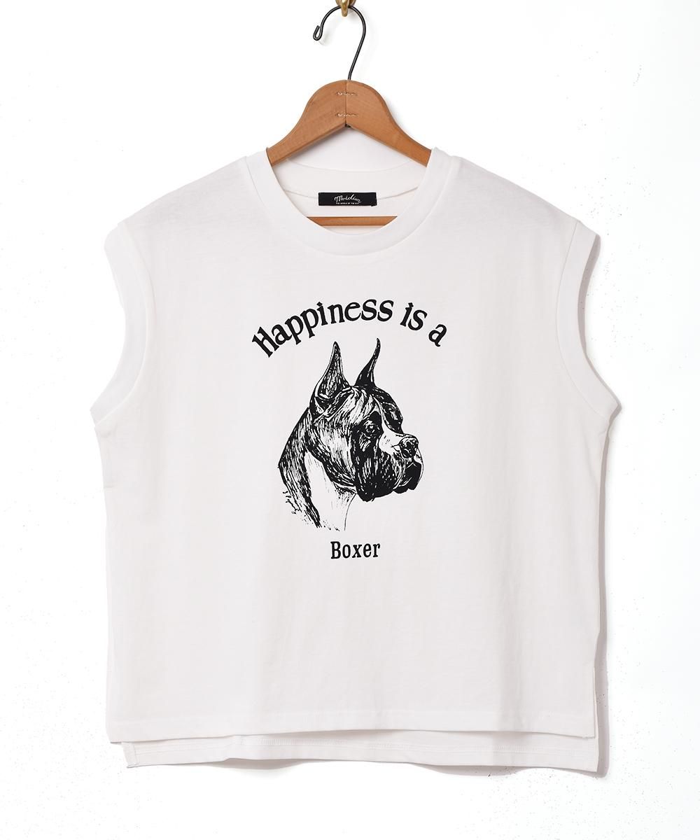 3ŸۡMeridianץɥå ץT 졼ͥ