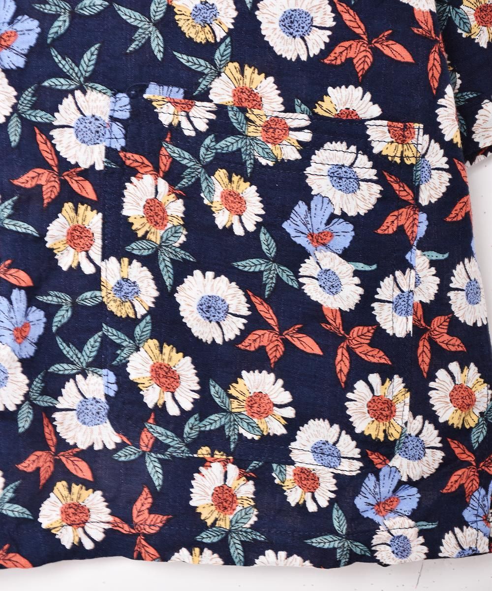 Elcaminoײ 㥤ʥǥ Ⱦµĥͥ