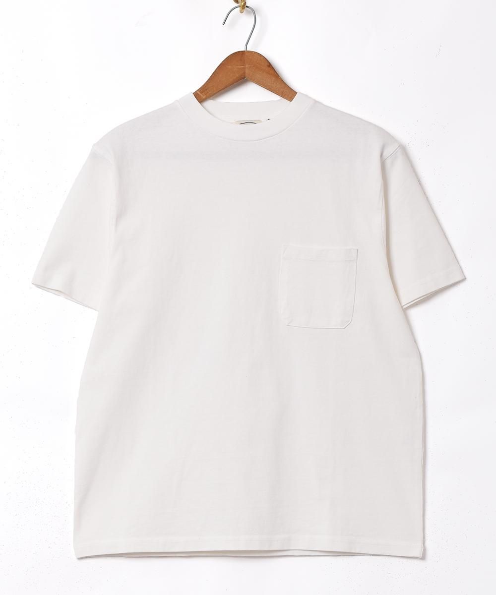  2ŸۡTEMPTATIONץ롼ݥåT ۥ磻  ͥå  岰졼ץե롼 ࡼ