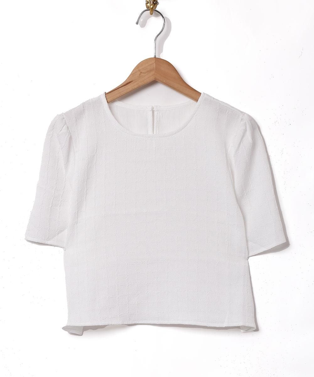  2ŸۡMeridianץѥե꡼ Ⱦµ֥饦  ۥ磻  ͥå  岰졼ץե롼 ࡼ