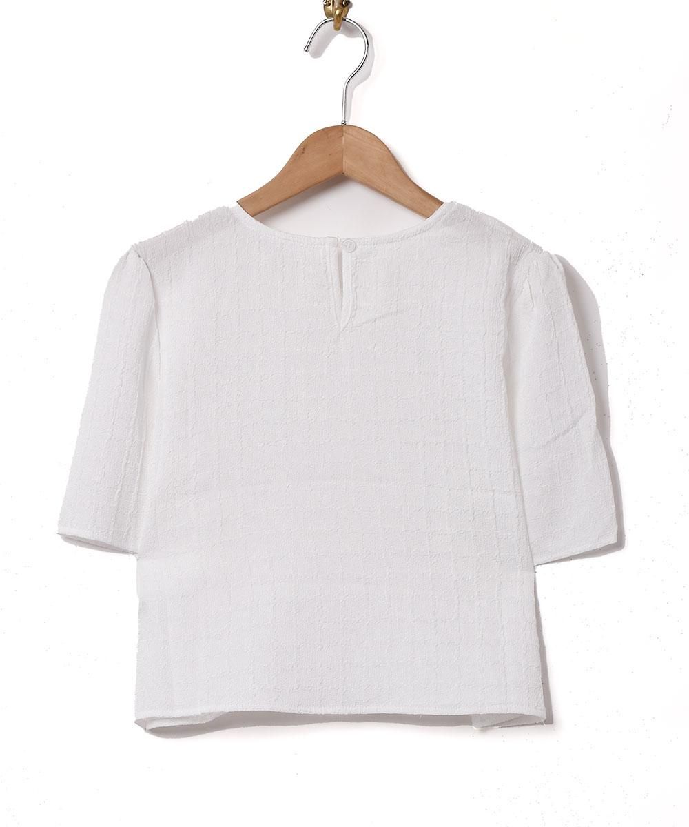 2ŸۡMeridianץѥե꡼ Ⱦµ֥饦  ۥ磻ȥͥ