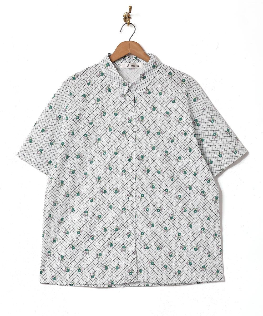  Elcaminoײ Ⱦµ  ͥå  岰졼ץե롼 ࡼ