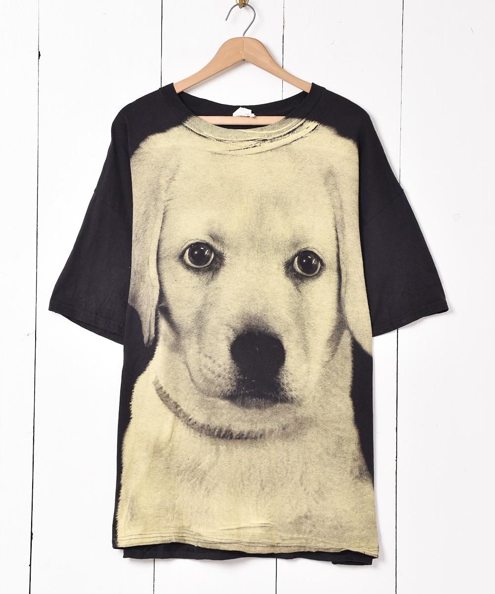  ӥå륨å ɥåץT  ͥå  岰졼ץե롼 ࡼ