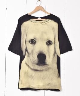 ӥå륨å ɥåץT Υͥå 岰졼ץե롼 ࡼ