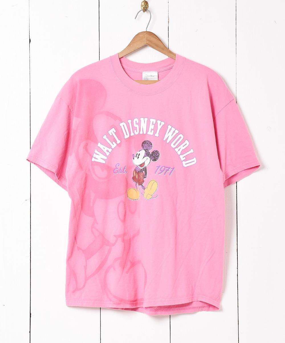  Disney World ץT  ͥå  岰졼ץե롼 ࡼ