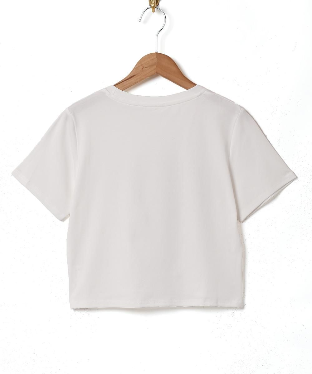 2Ÿۥ᥷ץ åץT ۥ磻ȥͥ