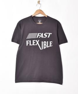 2Ÿ ץTġFAST FLEXIBLEۥ㥳륰졼 Υͥå 岰졼ץե롼 ࡼ