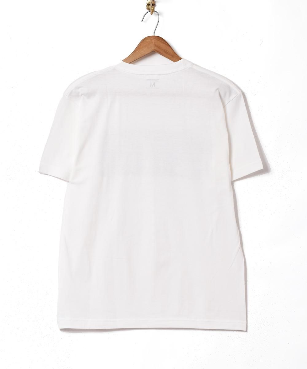 2Ÿ ץTġScotLandۥۥ磻ȥͥ