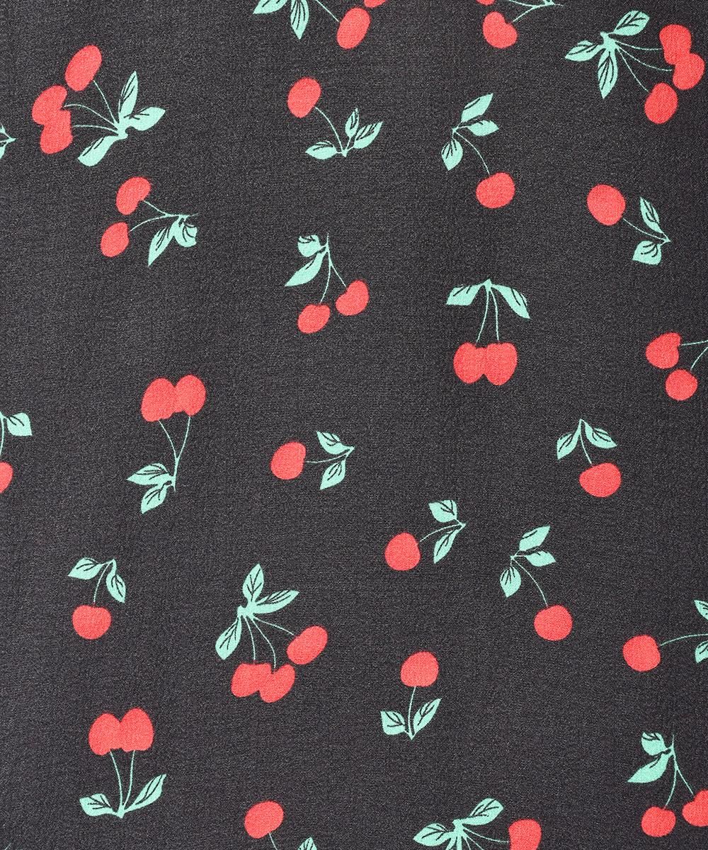 2ŸۡMeridianץ꡼ Ⱦµ ץ󥫥顼 åץɥ  ֥åͥ