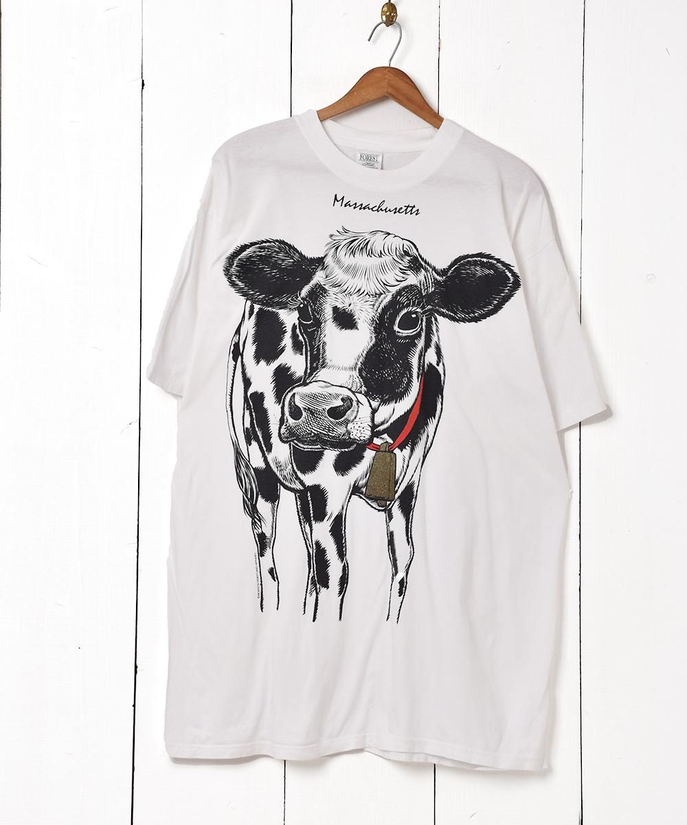  ˥ޥץT  ͥå  岰졼ץե롼 ࡼ