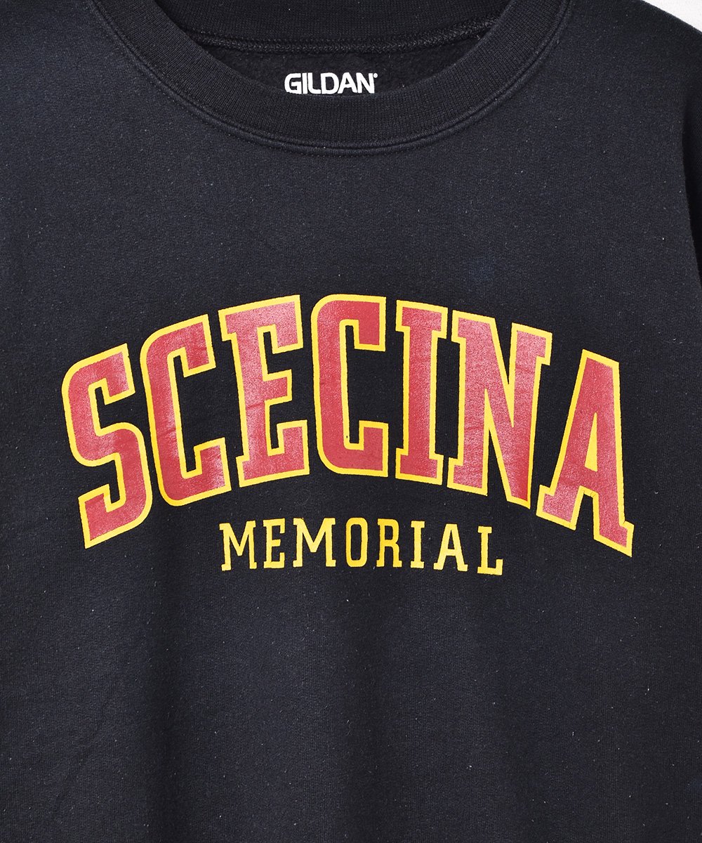 Scecina Memorial High School ץȥåȥĥͥ