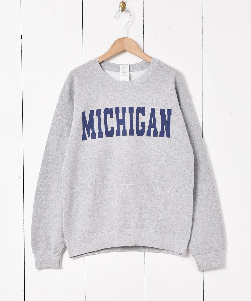  Michigan åץȥåȥ  ͥå  岰졼ץե롼 ࡼ