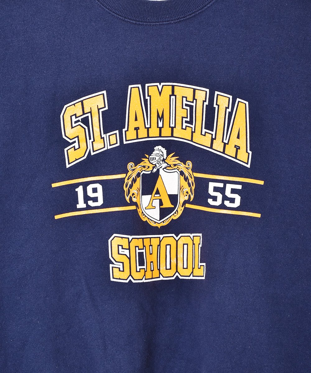 St. Amelia School ץȥåȥĥͥ