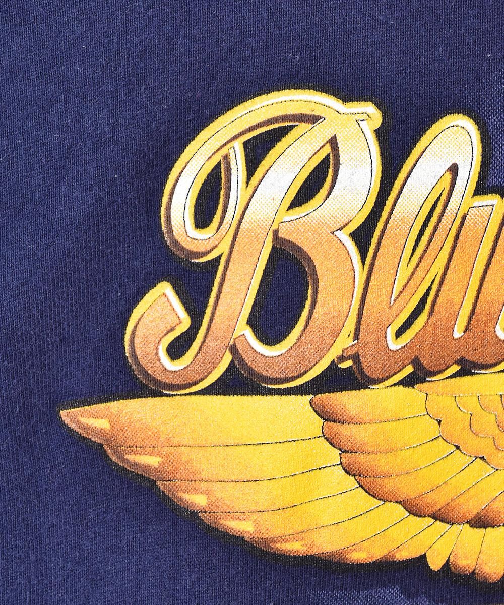 Blue Angels ץȥåȥͥ