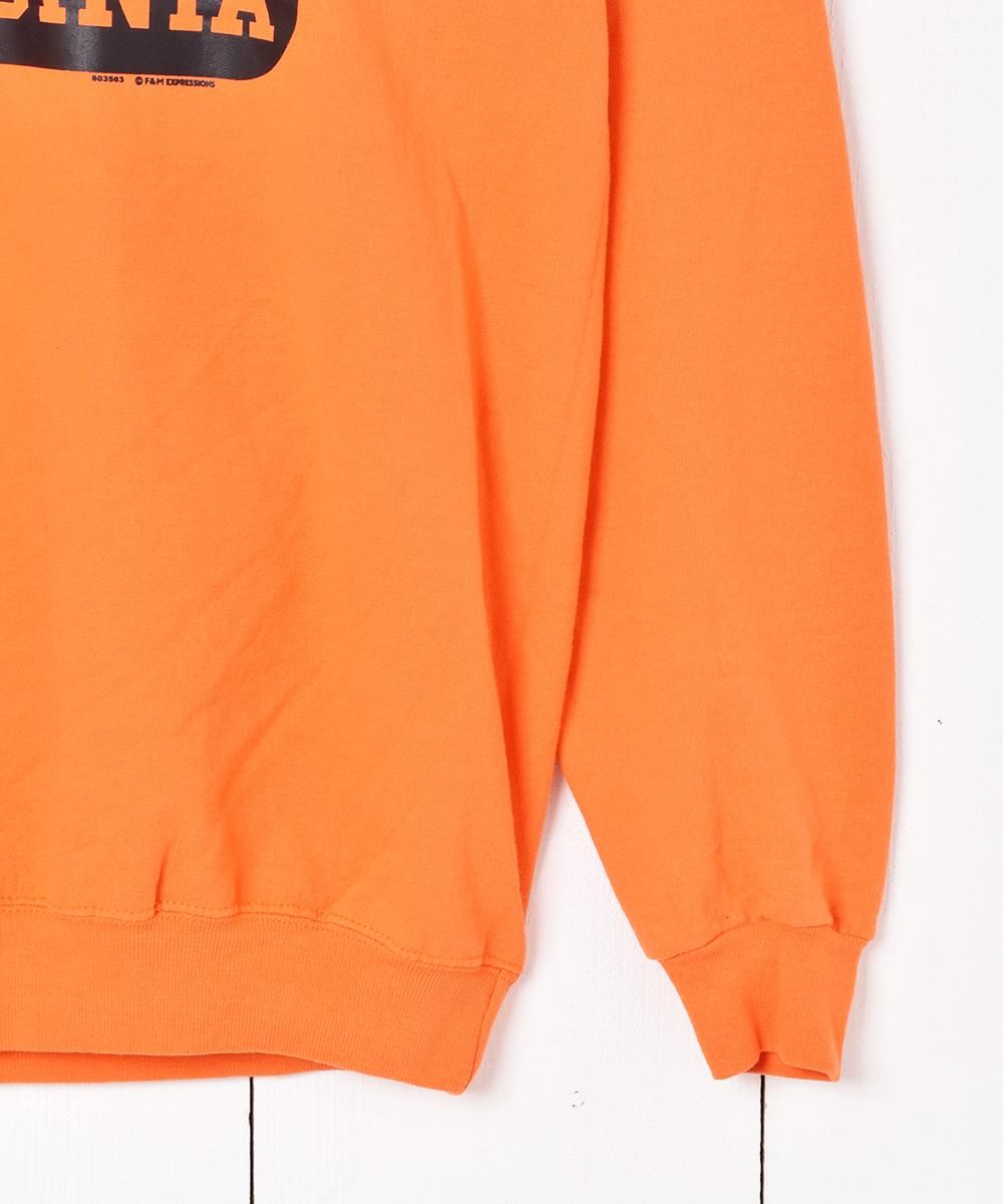 Virginia Beach ץȥåȥĥͥ