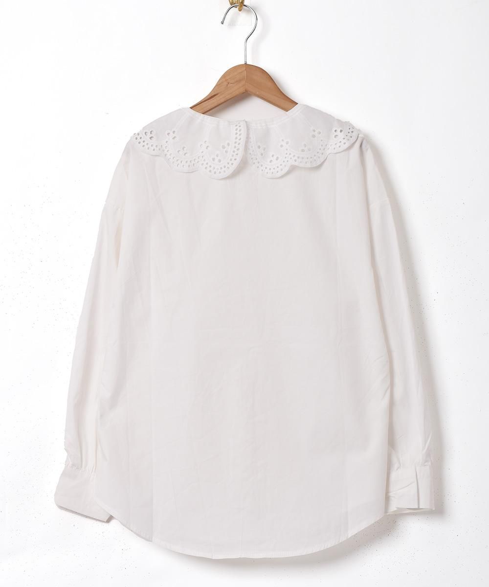 Meridianץå åȥ顼 Ĺµ֥饦ͥ