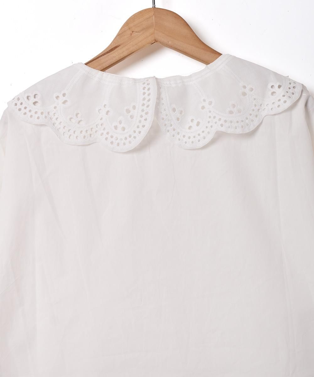 Meridianץå åȥ顼 Ĺµ֥饦ͥ