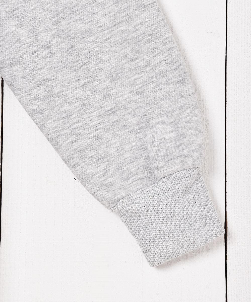 Garfield ץ åȥԡͥ