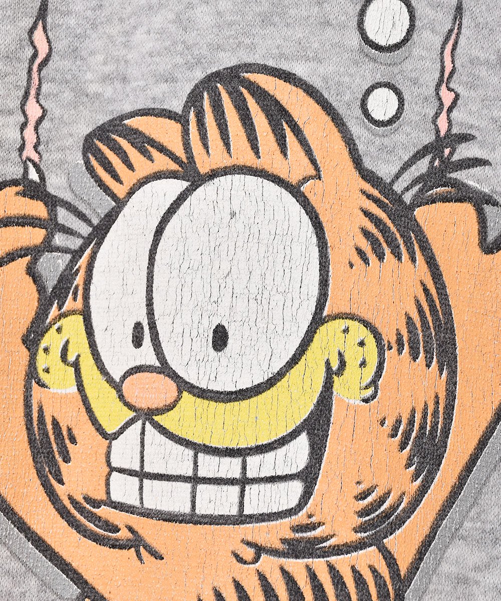 Garfield ץ åȥԡͥ