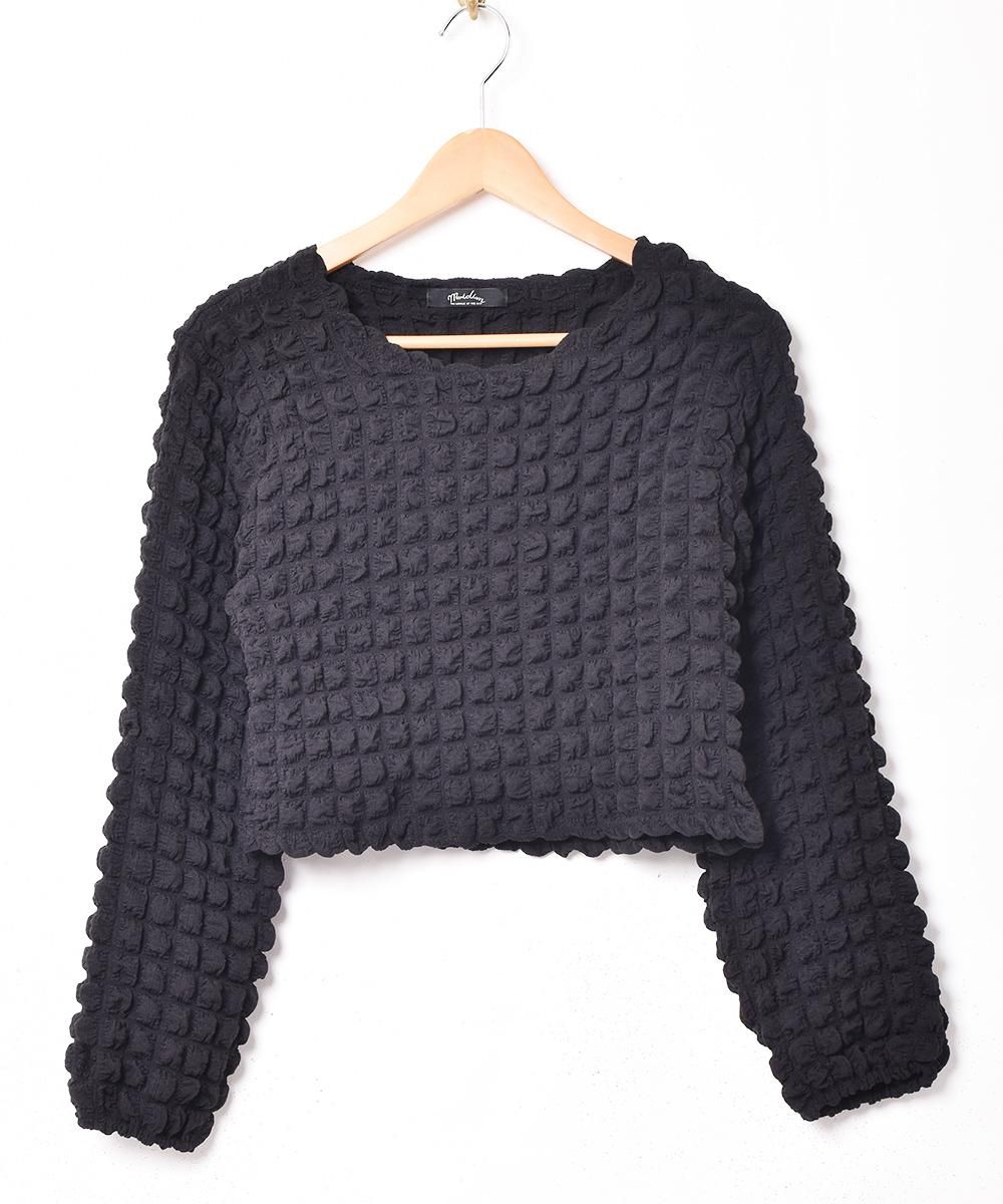  2ŸۡMeridianץܥ Ĺµ åץɥȥåץ ֥å  ͥå  岰졼ץե롼 ࡼ