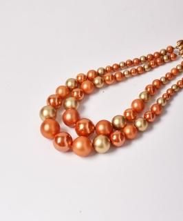 2Ϣ ѡӡ ͥå쥹  Υͥå 岰졼ץե롼 ࡼ