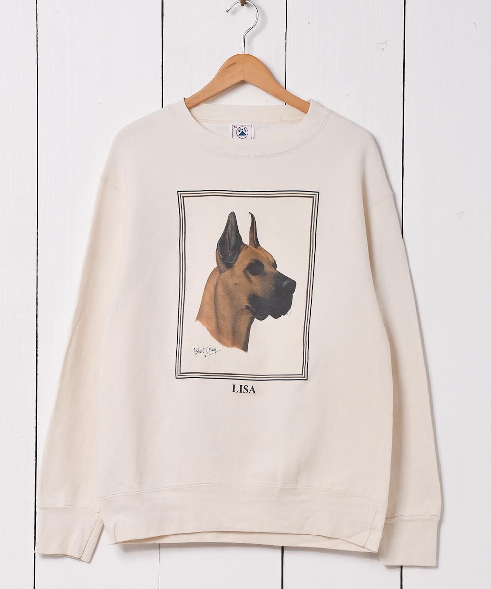  ꥫ ˥ޥ ץ åȥ  ͥå  岰졼ץե롼 ࡼ