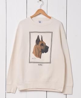 奢ꥫ ˥ޥ ץ åȥ Υͥå 岰졼ץե롼 ࡼ