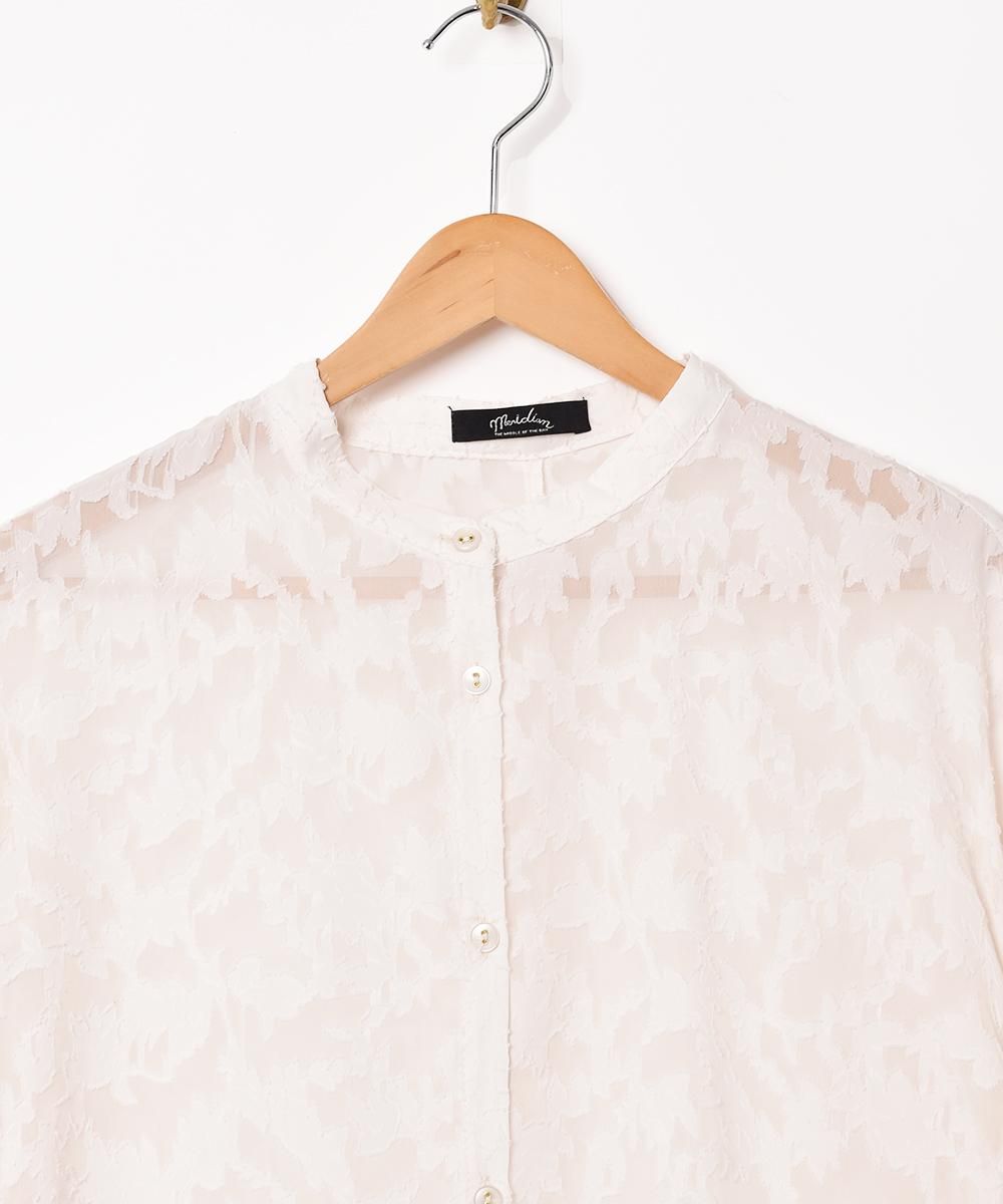 4ŸۡMeridian Ĺµ ԡ ܥ꡼ͥ