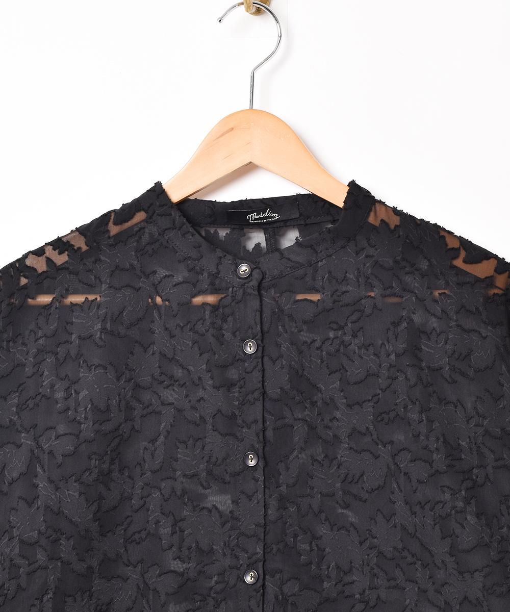 4ŸۡMeridian Ĺµ  ֥åͥ