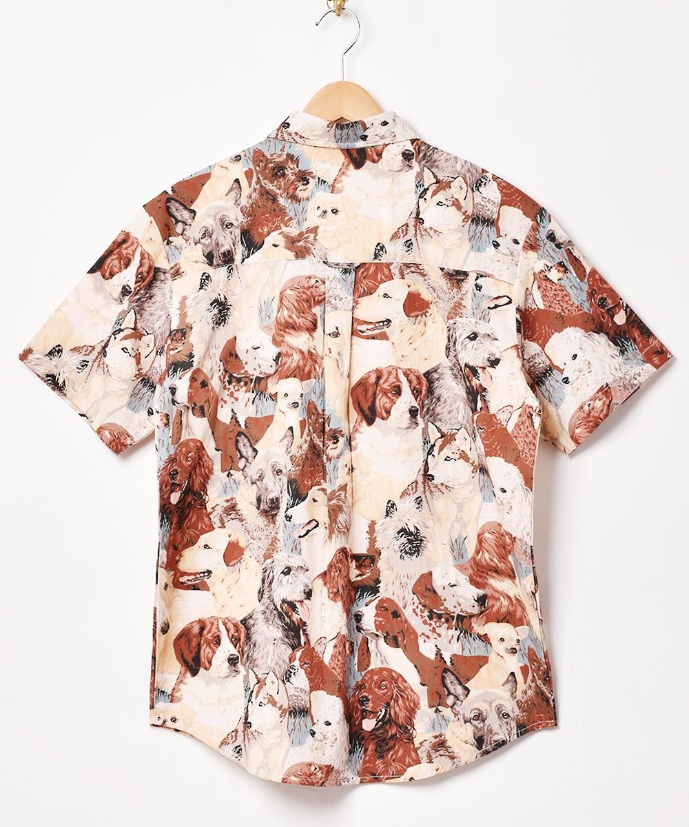 Emerald Motelץ Ⱦµĥͥ