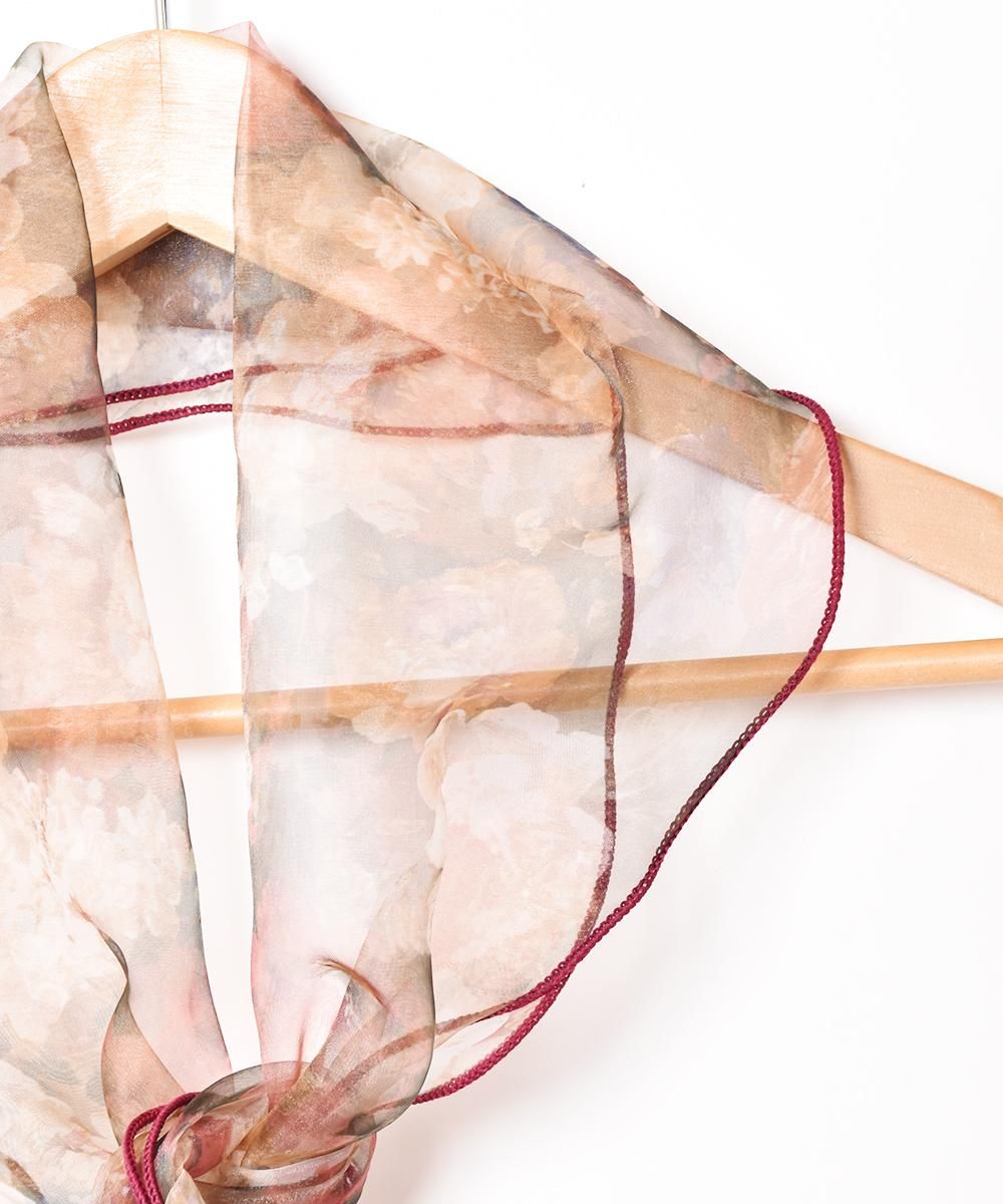 2Ÿۥ󥸡 ե  ֥饦󥵥ͥ