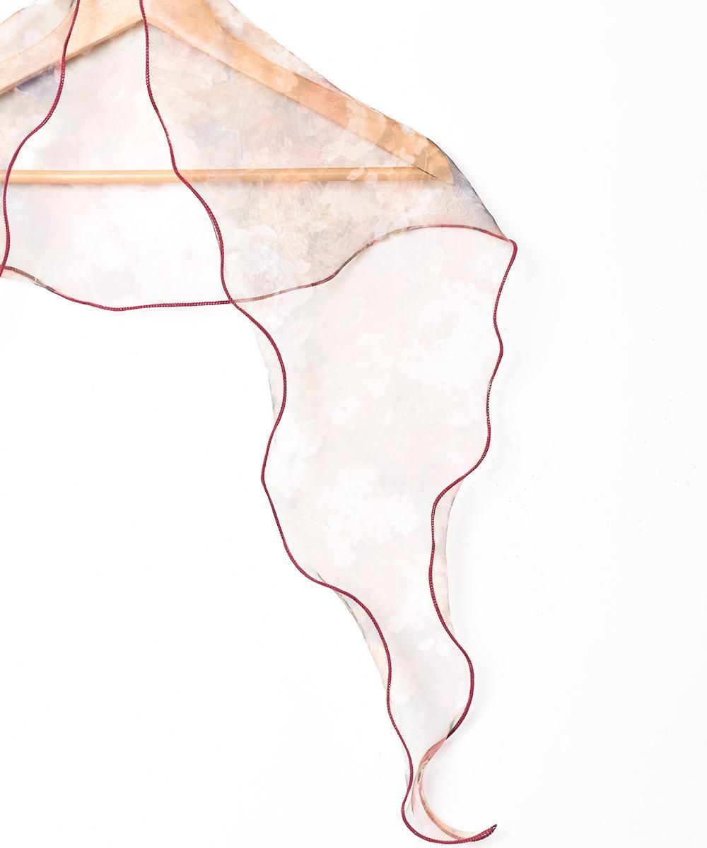 2Ÿۥ󥸡 ե  ֥饦󥵥ͥ