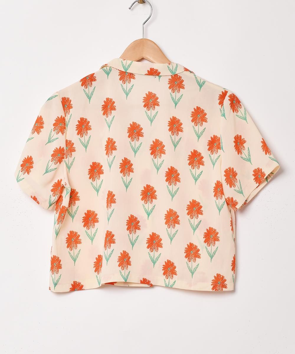 2ŸۡMeridianײ ץ󥫥顼 Ⱦµ ۥ磻ȥͥ