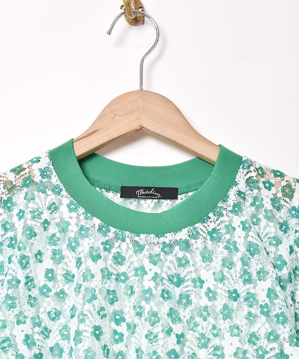 2ŸۡMeridianײ졼  Ⱦµȥåץ ꡼󥵥ͥ