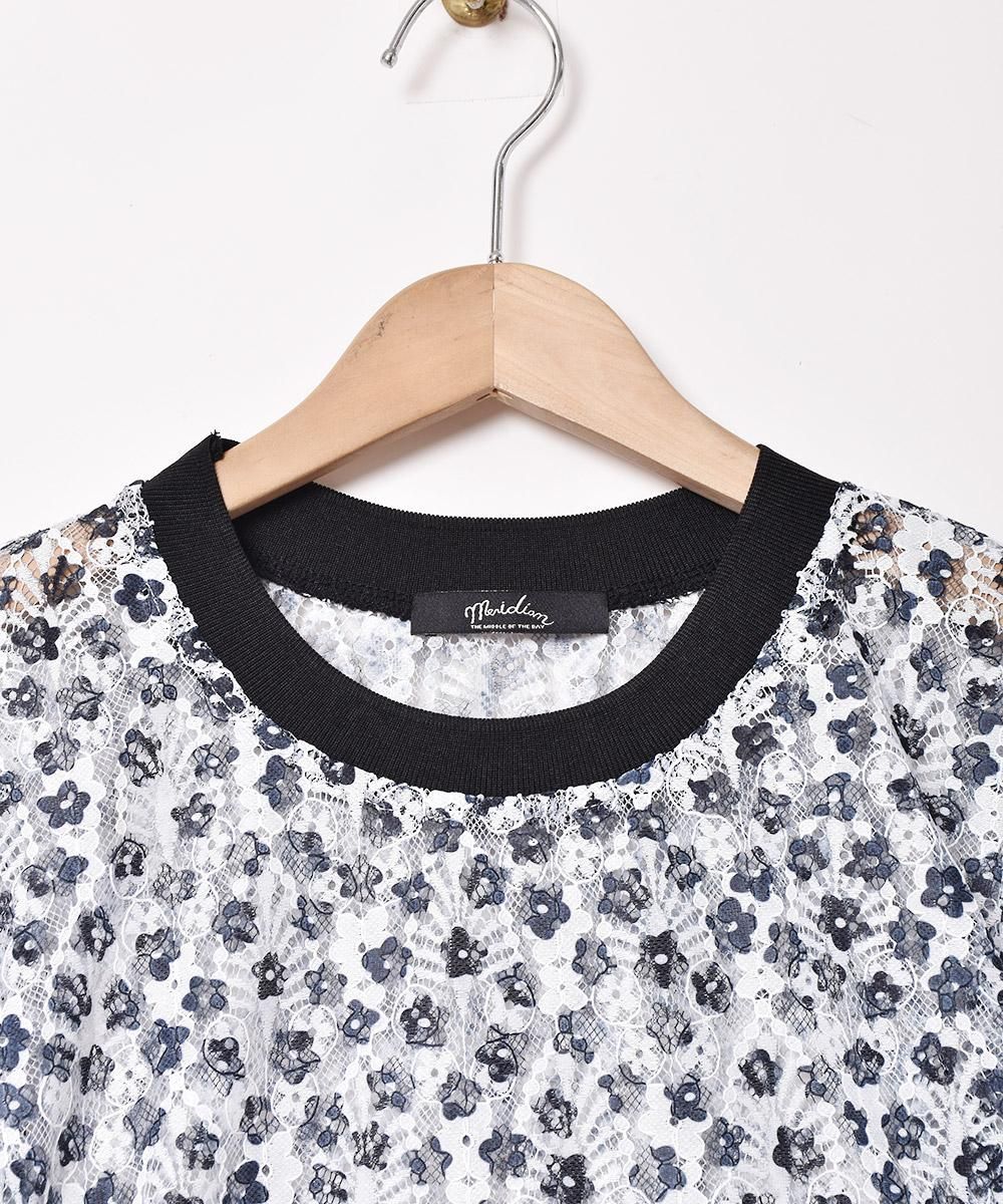 2ŸۡMeridianײ졼  Ⱦµȥåץ ֥åͥ