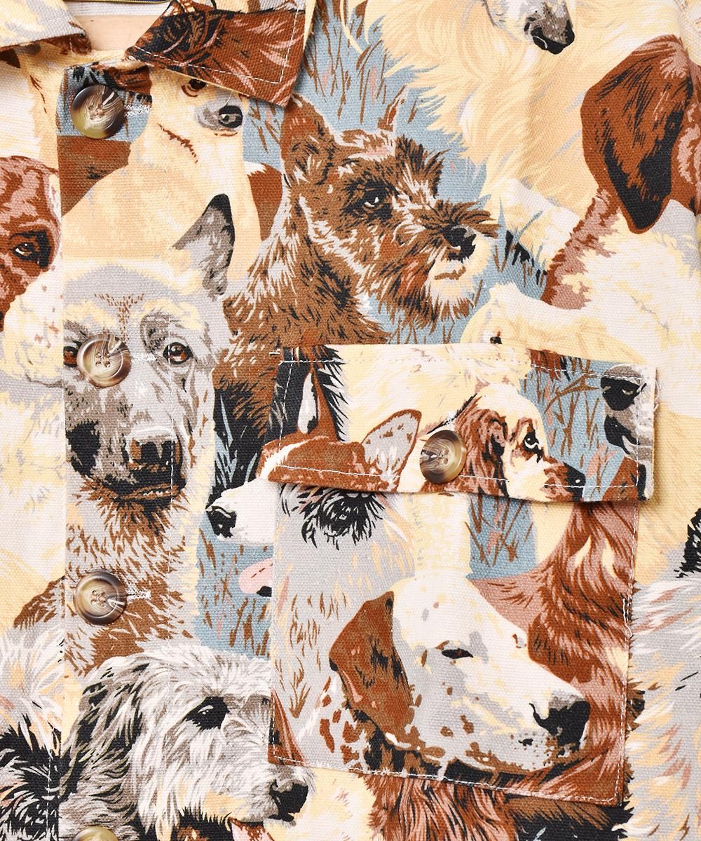 Emerald Motelץɥåץȥ硼Ⱦ 㥱åȥͥ