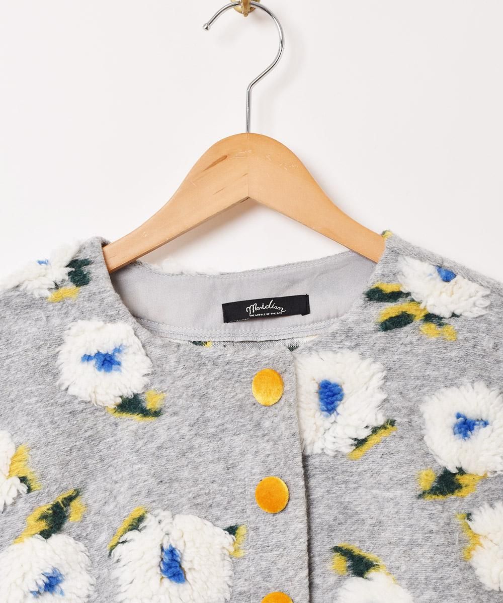 2ŸۡMeridianײ 㥱å 졼ͥ