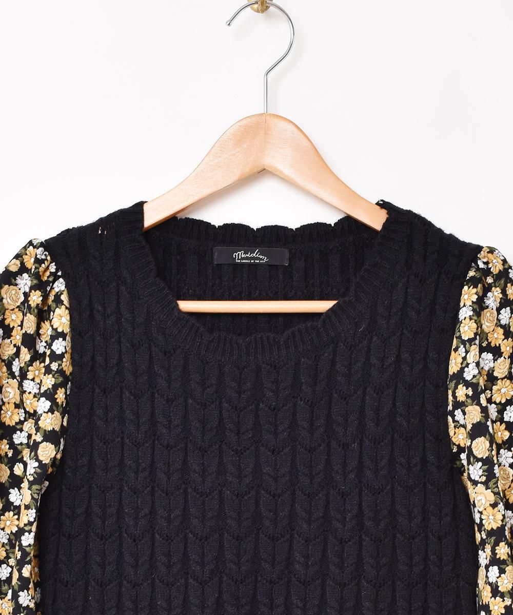 2ŸۡMeridianײ ˥åڤؤ Ĺµԡ ֥åͥ